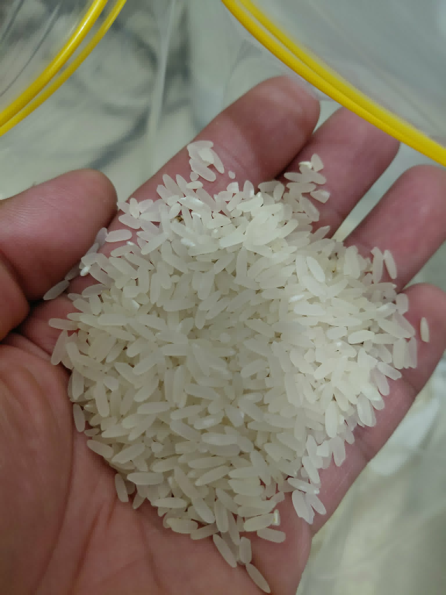 Pure premium rice grains — Alfonso's Rice Farm